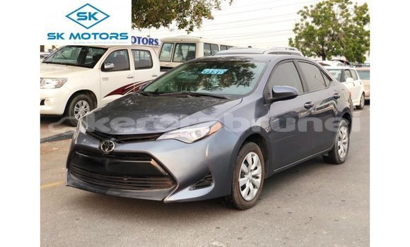 Buy Import Toyota Corolla Other Car in Import - Dubai in Belait