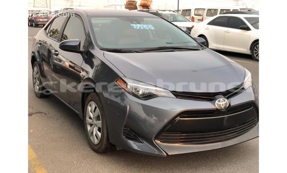 Buy Import Toyota Corolla Other Car in Import - Dubai in Belait Buy Import Toyota Corolla Other Car in Import - Dubai in Belait