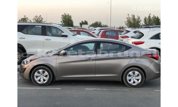 Buy Import Hyundai Elantra Brown Car in Import - Dubai in Belait Buy Import Hyundai Elantra Brown Car in Import - Dubai in Belait