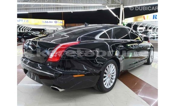 Buy Import Jaguar XJ Black Car in Import - Dubai in Belait Buy Import Jaguar XJ Black Car in Import - Dubai in Belait