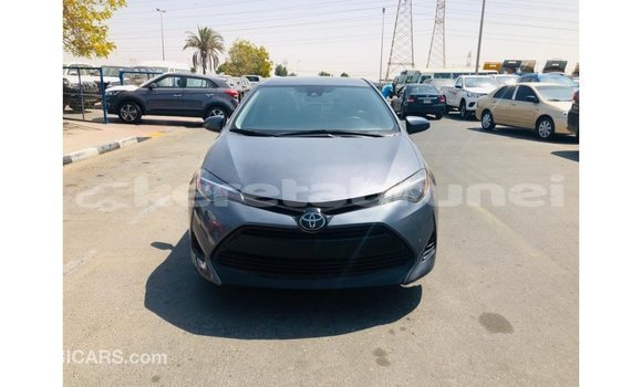 Buy Import Toyota Corolla Other Car in Import - Dubai in Belait Buy Import Toyota Corolla Other Car in Import - Dubai in Belait