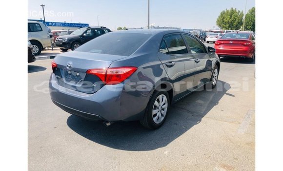 Buy Import Toyota Corolla Other Car in Import - Dubai in Belait Buy Import Toyota Corolla Other Car in Import - Dubai in Belait