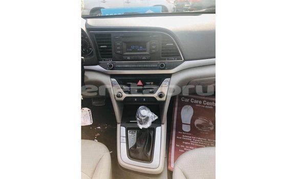 Buy Import Hyundai Elantra Blue Car in Import - Dubai in Belait Buy Import Hyundai Elantra Blue Car in Import - Dubai in Belait