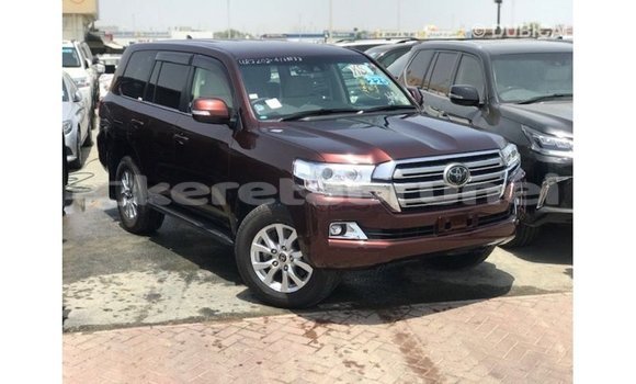 Buy Import Toyota Land Cruiser Red Car in Import - Dubai in Belait Buy Import Toyota Land Cruiser Red Car in Import - Dubai in Belait