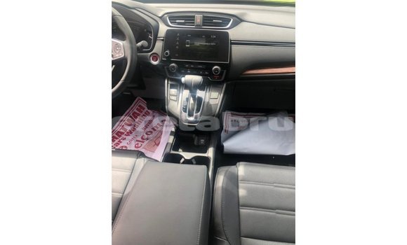 Buy Import Honda C Other Bike in Import - Dubai in Belait Buy Import Honda C Other Bike in Import - Dubai in Belait