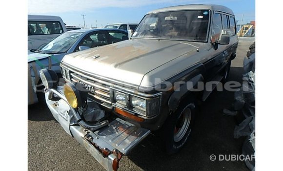 Buy Import Toyota Land Cruiser Other Car in Import - Dubai in Belait Buy Import Toyota Land Cruiser Other Car in Import - Dubai in Belait