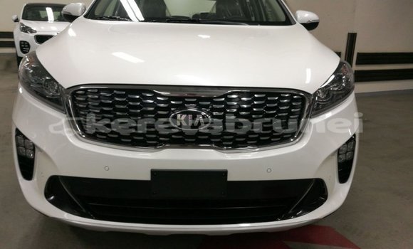 Buy Import Kia Sorento White Car in Import - Dubai in Belait Buy Import Kia Sorento White Car in Import - Dubai in Belait