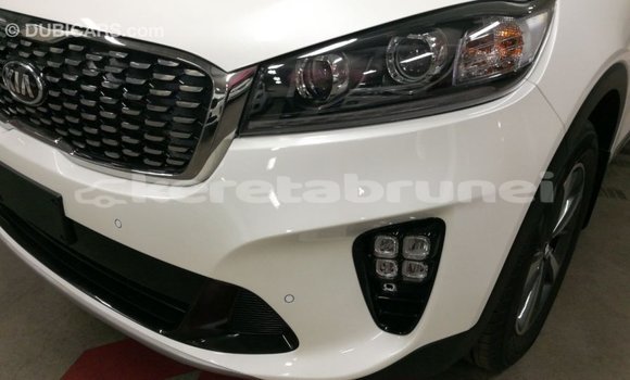 Buy Import Kia Sorento White Car in Import - Dubai in Belait Buy Import Kia Sorento White Car in Import - Dubai in Belait