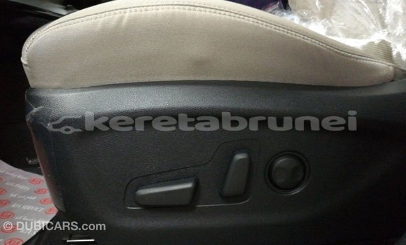 Buy Import Kia Sorento White Car in Import - Dubai in Belait Buy Import Kia Sorento White Car in Import - Dubai in Belait