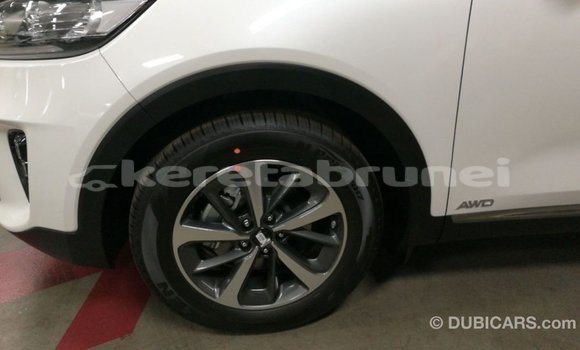 Buy Import Kia Sorento White Car in Import - Dubai in Belait Buy Import Kia Sorento White Car in Import - Dubai in Belait