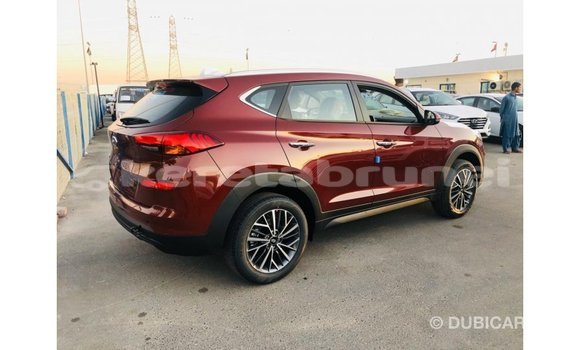 Buy Import Hyundai Tucson Other Car in Import - Dubai in Belait Buy Import Hyundai Tucson Other Car in Import - Dubai in Belait