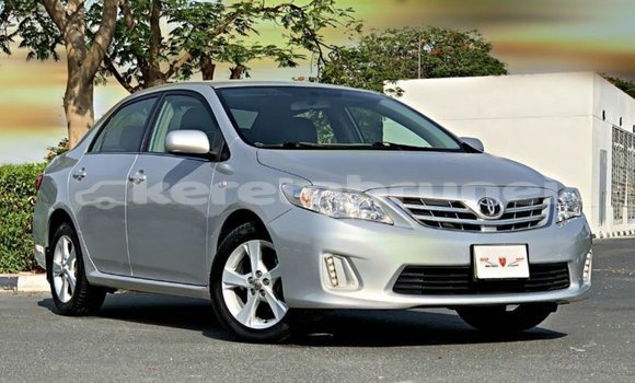 Buy Import Toyota Corolla Other Car in Import - Dubai in Belait