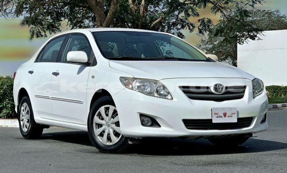 Buy Import Toyota Corolla White Car in Import - Dubai in Belait