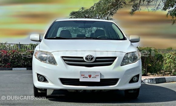 Buy Import Toyota Corolla White Car in Import - Dubai in Belait Buy Import Toyota Corolla White Car in Import - Dubai in Belait