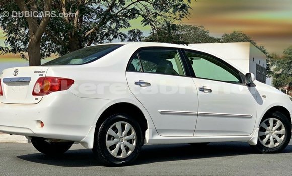 Buy Import Toyota Corolla White Car in Import - Dubai in Belait Buy Import Toyota Corolla White Car in Import - Dubai in Belait