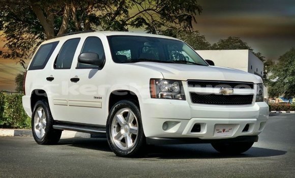 Buy Import Chevrolet Tahoe White Car in Import - Dubai in Belait