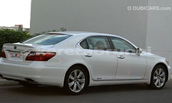 Buy Import Lexus LS White Car in Import - Dubai in Belait Buy Import Lexus LS White Car in Import - Dubai in Belait
