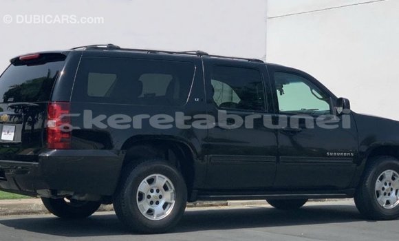 Buy Import Chevrolet Suburban Black Car in Import - Dubai in Belait Buy Import Chevrolet Suburban Black Car in Import - Dubai in Belait