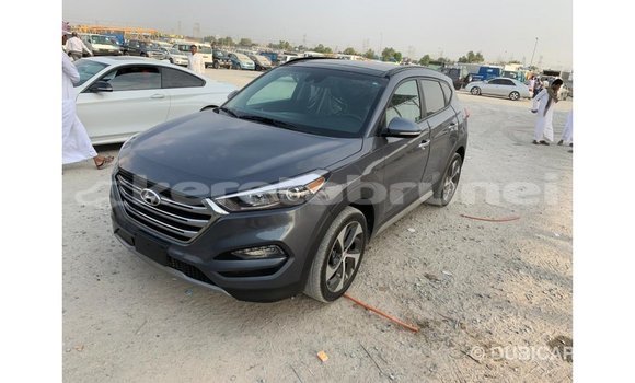 Buy Import Hyundai Tucson Other Car in Import - Dubai in Belait Buy Import Hyundai Tucson Other Car in Import - Dubai in Belait