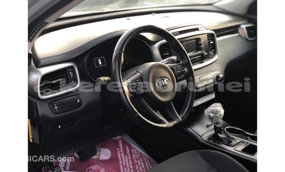 Buy Import Kia Sorento Other Car in Import - Dubai in Belait Buy Import Kia Sorento Other Car in Import - Dubai in Belait