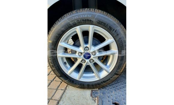 Buy Import Ford Focus White Car in Import - Dubai in Belait Buy Import Ford Focus White Car in Import - Dubai in Belait