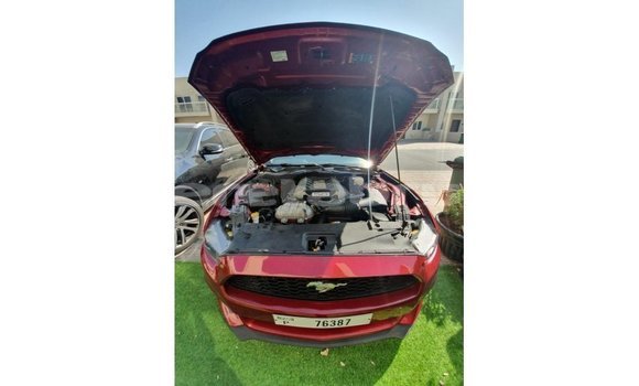Buy Import Ford Mustang Red Car in Import - Dubai in Belait Buy Import Ford Mustang Red Car in Import - Dubai in Belait