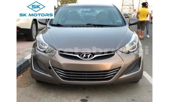 Buy Import Hyundai Elantra Brown Car in Import - Dubai in Belait