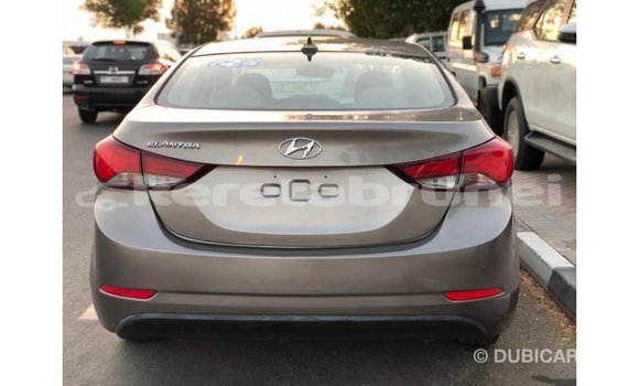 Buy Import Hyundai Elantra Brown Car in Import - Dubai in Belait Buy Import Hyundai Elantra Brown Car in Import - Dubai in Belait