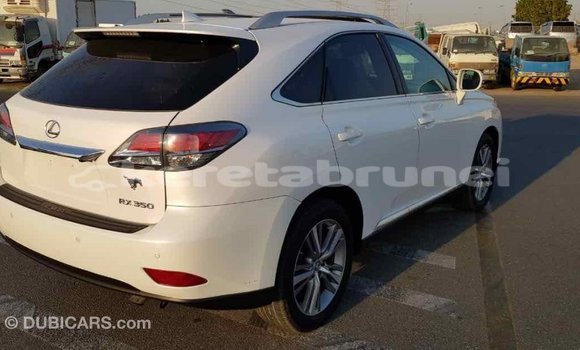 Buy Import Lexus RX 350 White Car in Import - Dubai in Belait Buy Import Lexus RX 350 White Car in Import - Dubai in Belait