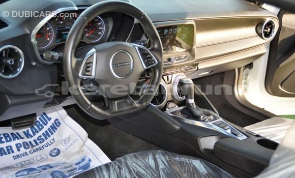 Buy Import Chevrolet Camaro White Car in Import - Dubai in Belait Buy Import Chevrolet Camaro White Car in Import - Dubai in Belait