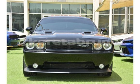 Buy Import Dodge Challenger Black Car in Import - Dubai in Belait