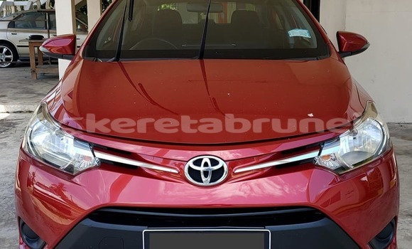 Buy Used Toyota Vios Red Car in Bandar Seri Begawan in Brunei-Muara Buy Used Toyota Vios Red Car in Bandar Seri Begawan in Brunei-Muara