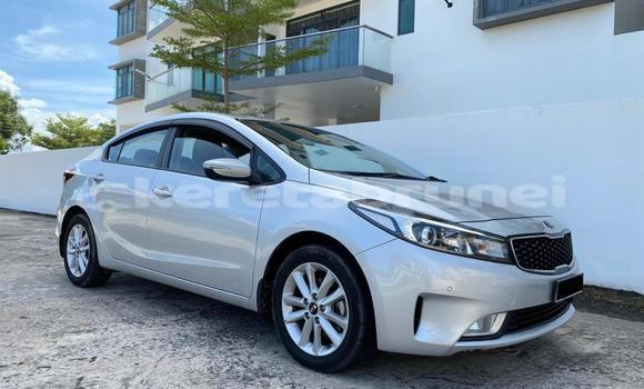 Buy Used Kia Cerato Silver Car in Kuala Belait in Belait Buy Used Kia Cerato Silver Car in Kuala Belait in Belait