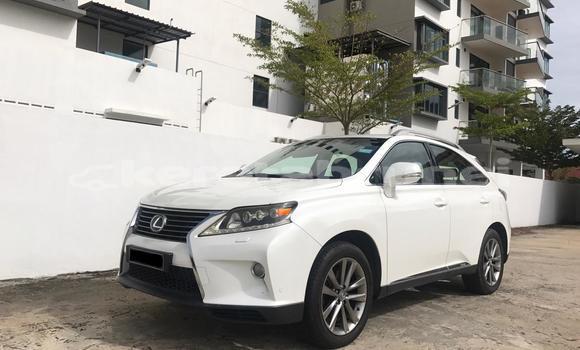 Buy Used Lexus RX White Car in Kuala Belait in Belait