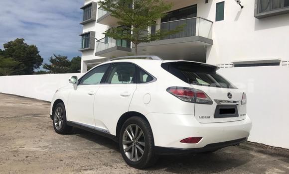 Buy Used Lexus RX White Car in Kuala Belait in Belait Buy Used Lexus RX White Car in Kuala Belait in Belait