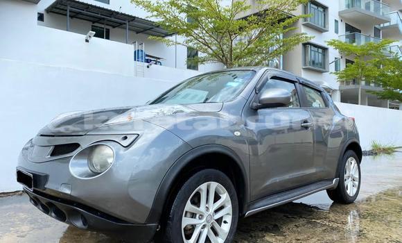 Buy Used Nissan Juke Silver Car in Kuala Belait in Belait Buy Used Nissan Juke Silver Car in Kuala Belait in Belait