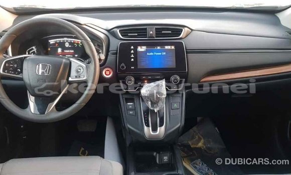 Buy Import Honda C Other Bike in Import - Dubai in Belait Buy Import Honda C Other Bike in Import - Dubai in Belait