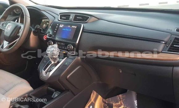 Buy Import Honda C Other Bike in Import - Dubai in Belait Buy Import Honda C Other Bike in Import - Dubai in Belait