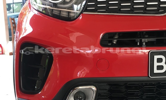 Buy Used Kia Picanto Red Car in Kuala Belait in Belait Buy Used Kia Picanto Red Car in Kuala Belait in Belait