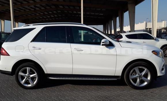 Buy Used Mercedes-Benz GLE White Car in Kuala Belait in Belait Buy Used Mercedes-Benz GLE White Car in Kuala Belait in Belait
