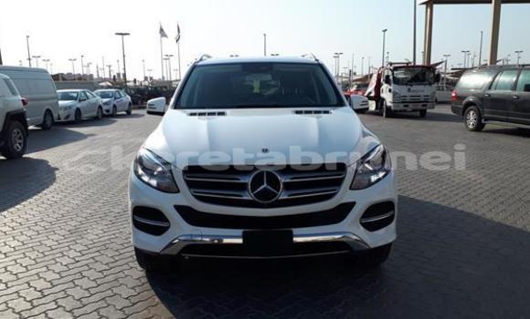 Buy Used Mercedes-Benz GLE White Car in Tutong in Tutong
