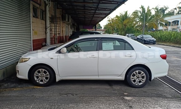 Buy Used Toyota Corolla White Car in Bandar Seri Begawan in Brunei-Muara
