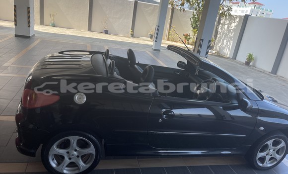 Buy Used Peugeot 206 Black Car in Kuala Belait in Belait