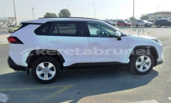 Buy Used Toyota RAV4 White Car in Bandar Seri Begawan in Brunei-Muara Buy Used Toyota RAV4 White Car in Bandar Seri Begawan in Brunei-Muara