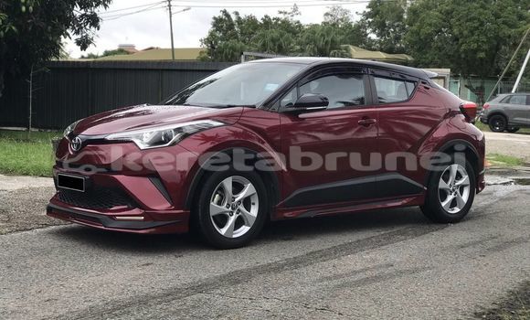 Buy Used Toyota C-HR Other Car in Bandar Seri Begawan in Brunei-Muara