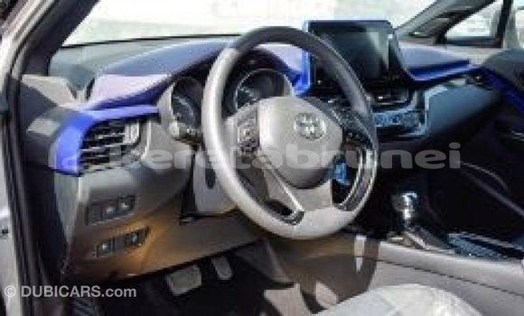 Buy Import Toyota C-HR Other Car in Import - Dubai in Belait Buy Import Toyota C-HR Other Car in Import - Dubai in Belait