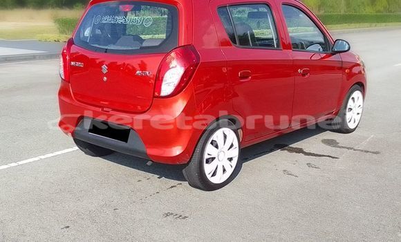Buy Used Suzuki Alto Red Car in Bandar Seri Begawan in Brunei-Muara Buy Used Suzuki Alto Red Car in Bandar Seri Begawan in Brunei-Muara
