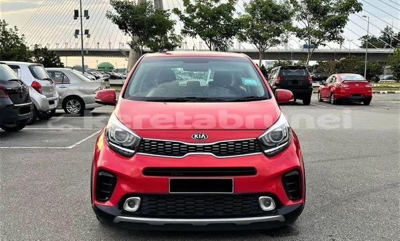 Buy Used Kia Picanto Red Car in Bandar Seri Begawan in Brunei-Muara Buy Used Kia Picanto Red Car in Bandar Seri Begawan in Brunei-Muara