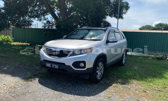 Buy Used Kia Sorento Silver Car in Bandar Seri Begawan in Brunei-Muara