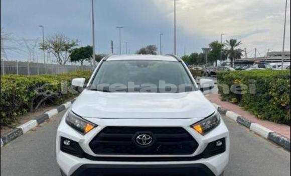 Buy Used Toyota RAV4 White Car in Kuala Belait in Belait Buy Used Toyota RAV4 White Car in Kuala Belait in Belait
